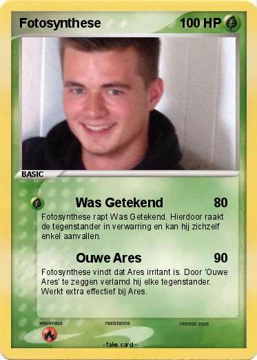 Pokemon Fotosynthese