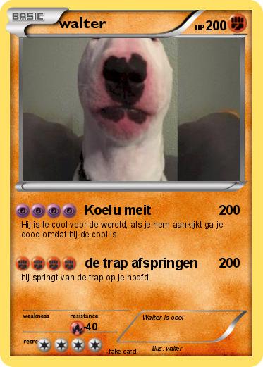 Pokemon walter