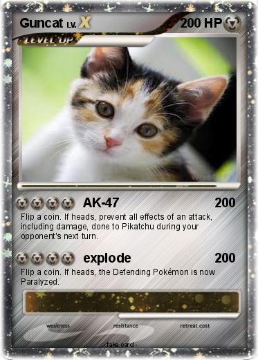 Pokemon Guncat