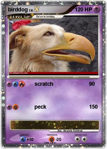 Pokemon birddog