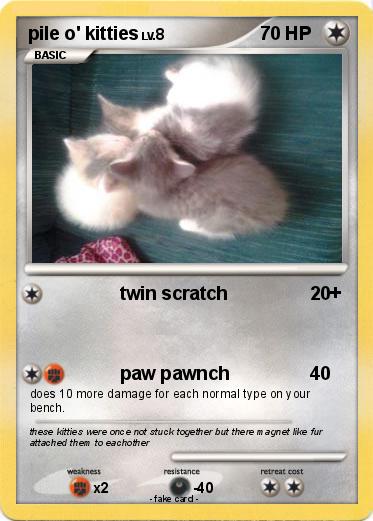 Pokemon pile o' kitties