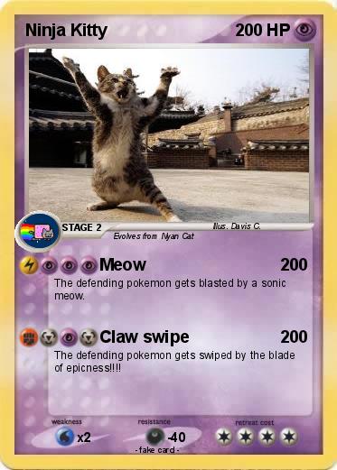 Pokemon Ninja Kitty