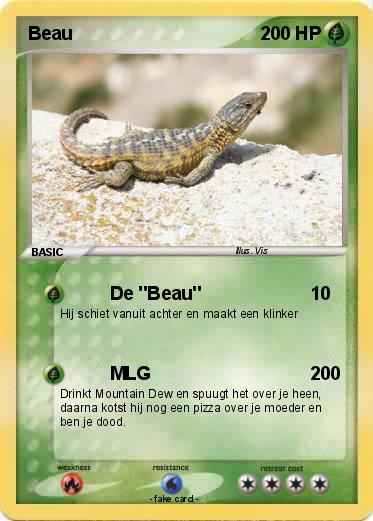 Pokemon Beau