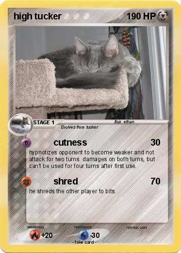 Pokemon high tucker