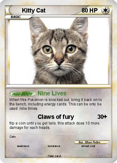 Pokemon Kitty Cat
