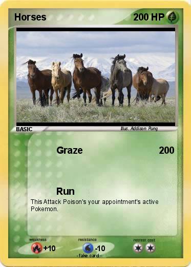 Pokemon Horses