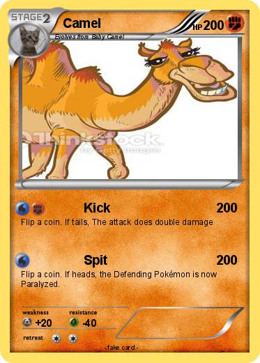 Pokemon Camel