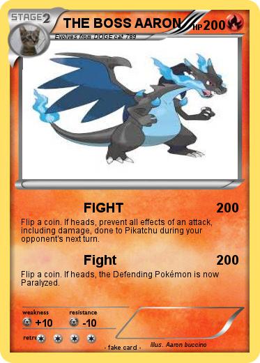 Pokemon THE BOSS AARON