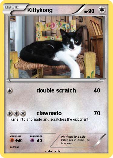 Pokemon Kittykong