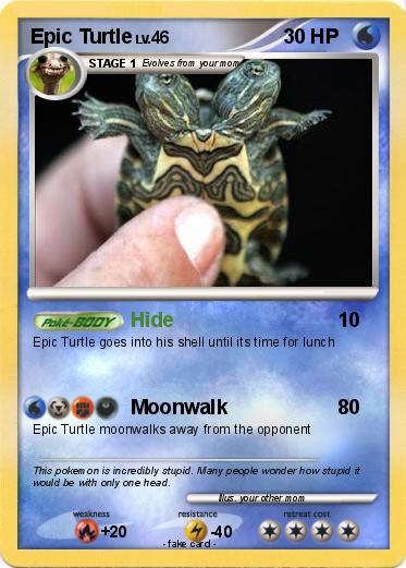 Pokemon Epic Turtle