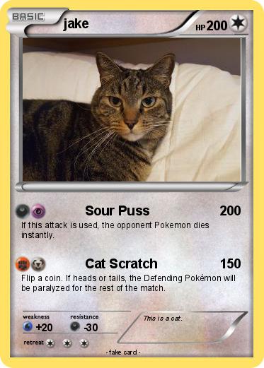 Pokemon jake