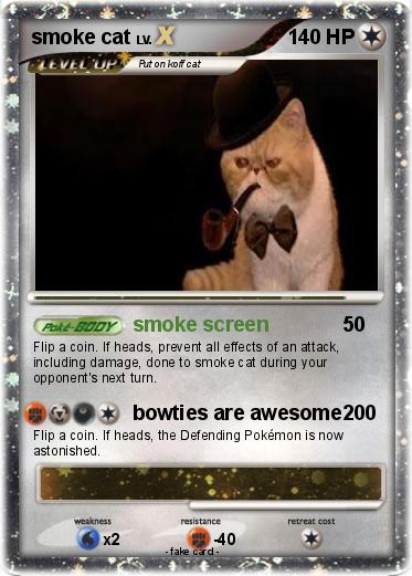 Pokemon smoke cat