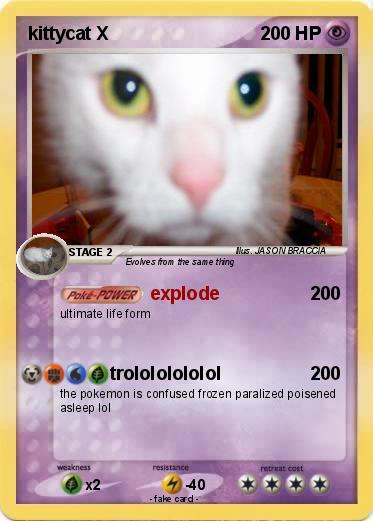 Pokemon kittycat X
