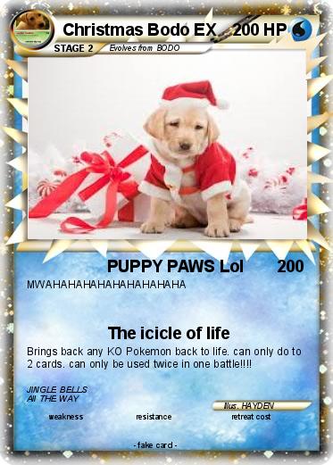 Pokemon Christmas Bodo EX