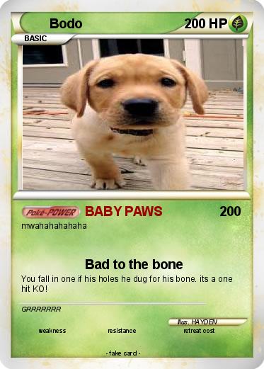 Pokemon Bodo