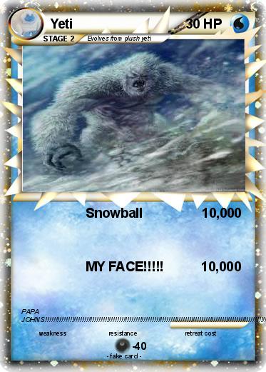 Pokemon Yeti