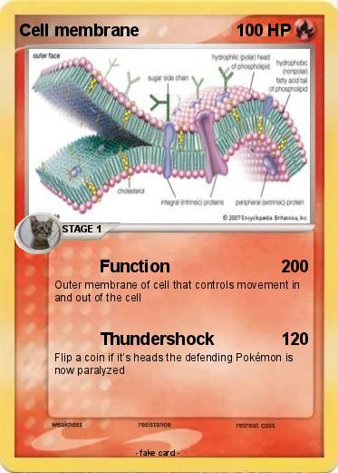 Pokemon Cell membrane