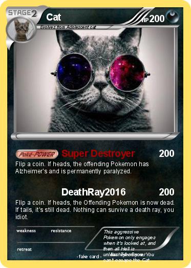 Pokemon Cat