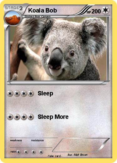 Pokemon Koala Bob