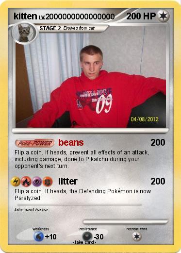 Pokemon kitten