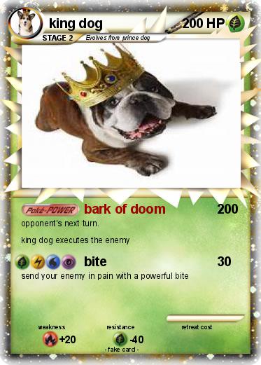 Pokemon king dog