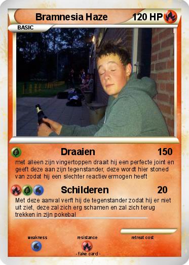 Pokemon Bramnesia Haze