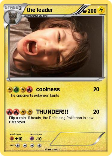 Pokemon the leader