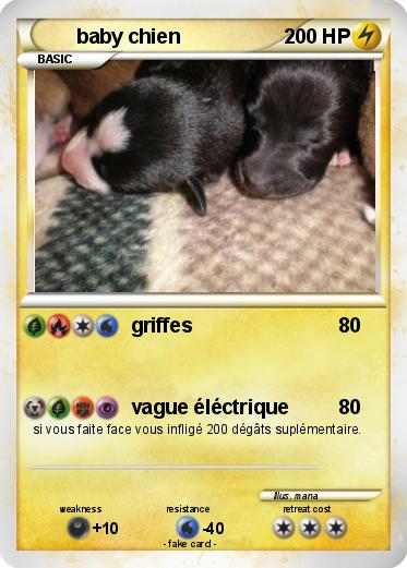 Pokemon baby chien