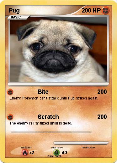 Pokemon Pug