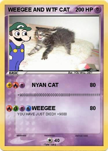 Pokemon WEEGEE AND WTF CAT