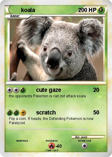 Pokemon koala