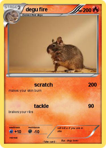 Pokemon degu fire