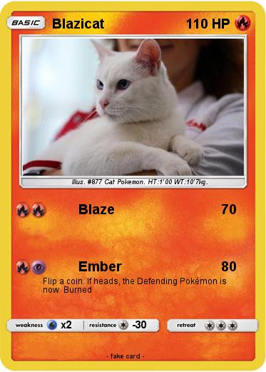 Pokemon Blazicat