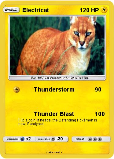 Pokemon Electricat