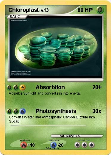 Pokemon Chloroplast