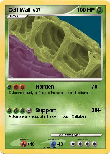 Pokemon Cell Wall