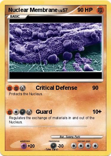 Pokemon Nuclear Membrane