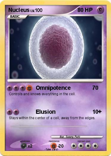 Pokemon Nucleus
