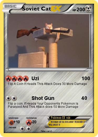 Pokemon Soviet Cat