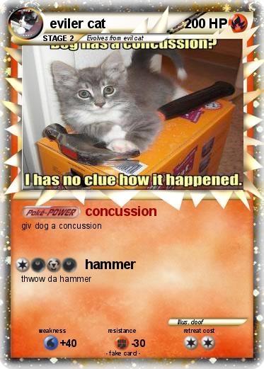 Pokemon eviler cat