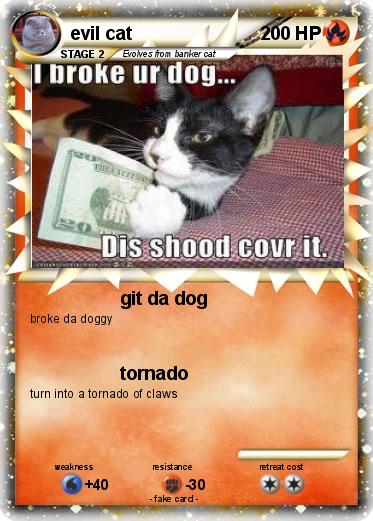 Pokemon evil cat