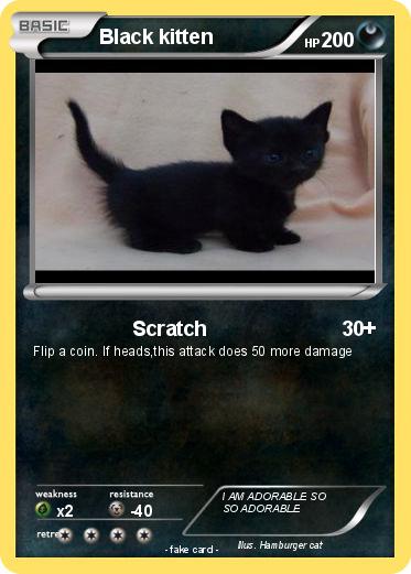 Pokemon Black kitten