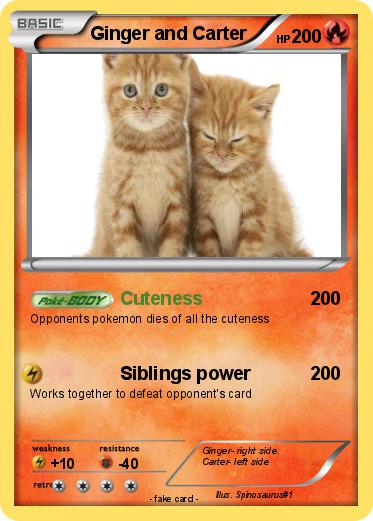 Pokemon Ginger and Carter