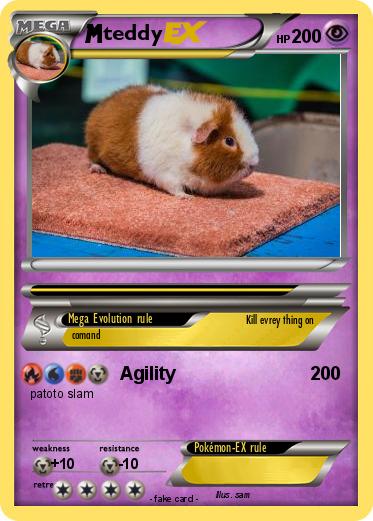 Pokemon teddy