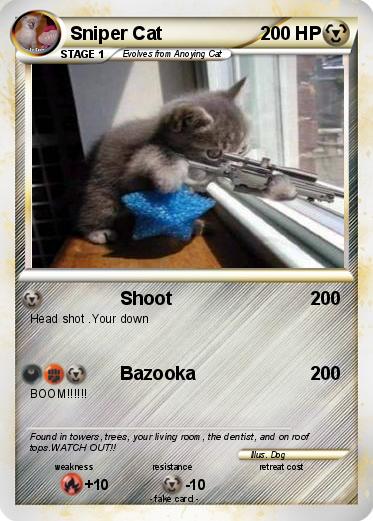 Pokemon Sniper Cat