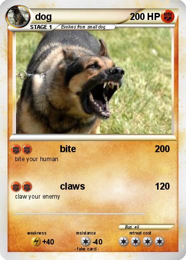 Pokemon dog