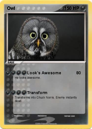 Pokemon Owl