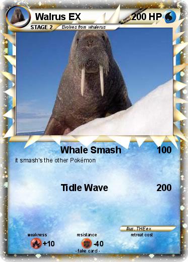 Pokemon Walrus EX