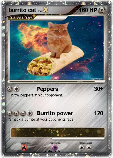 Pokemon burrito cat