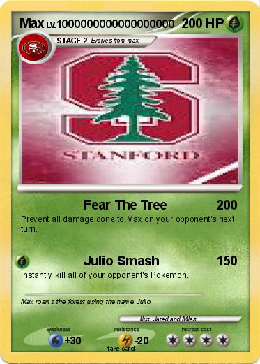 Pokemon Max